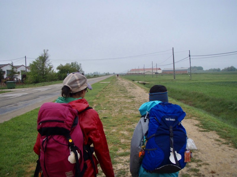 511ビラメンテロ・デ・カンポス カミーノ一本道1.2