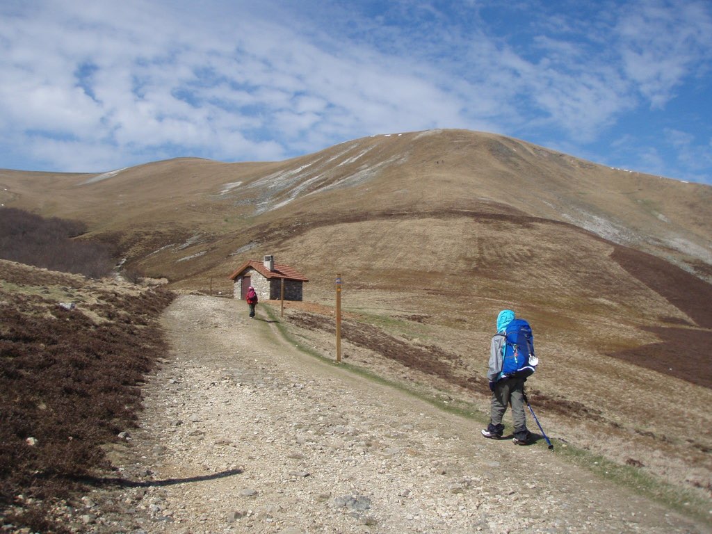 カミーノ ピレネー山脈 山越え、芝枯れ