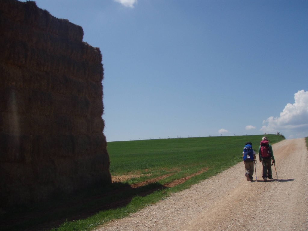 カミーノ 干し草 晴れた 田舎道