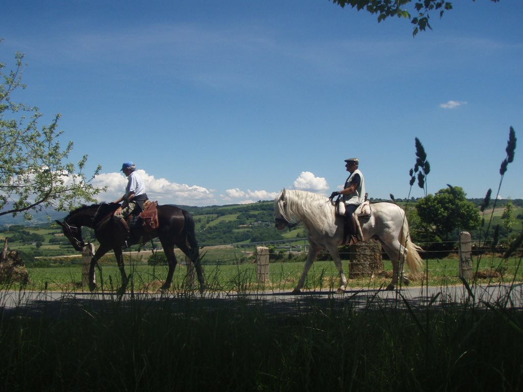 カミーノ 馬のスペイン人二人