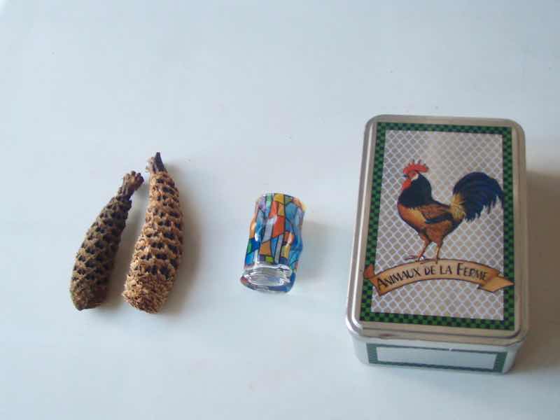 カミーノ持ち物 缶、松ぼっくり、森のエビフライ