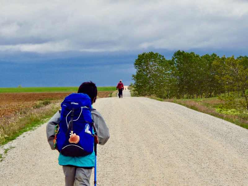 512 カルサディージャ・デ・ラ・クエッサ カミーノ　17km一本道　アップダウン道1.2