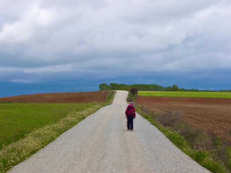 512 カルサディージャ・デ・ラ・クエッサ カミーノ　17km一本道　1一人