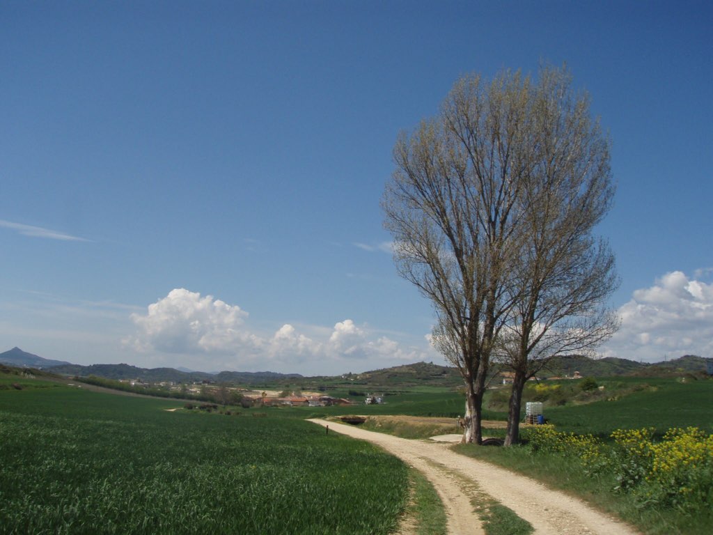 カミーノ晴れた見晴らし田舎道 パンプローナから