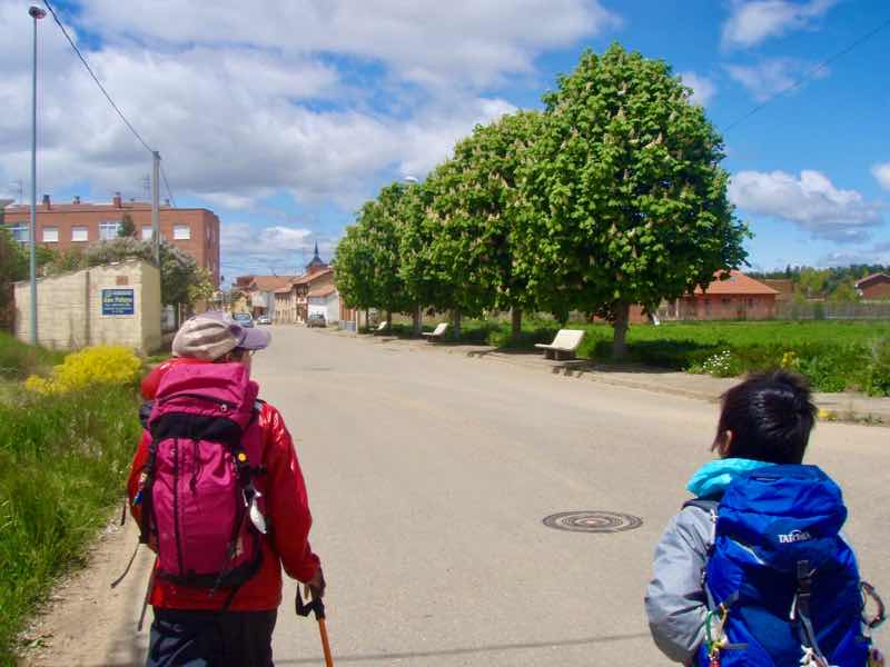 515カミーノ　マンリー町入口　サンティアゴ巡礼　