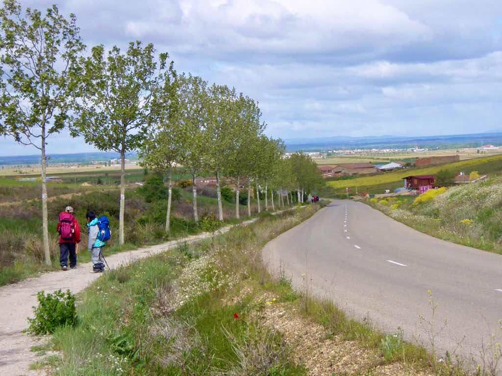 515カミーノ　マンリー　犬　金網　サンティアゴ巡礼　