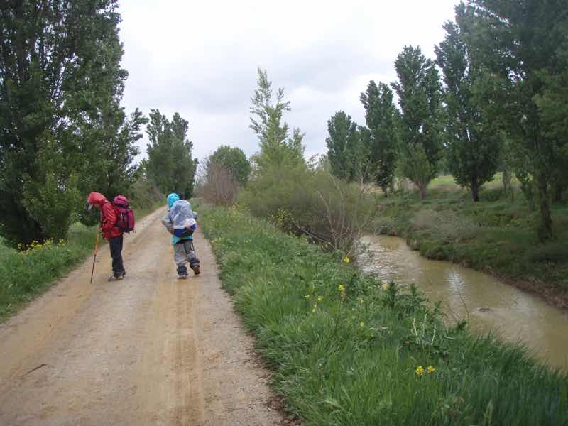 513 サアグーン 雨中田舎道　右川1.2サンティアゴ巡礼　