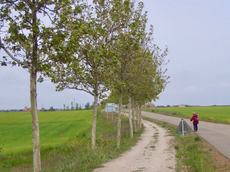 514エル・ブルゴ・ラネル カミーノ　舗装道　1