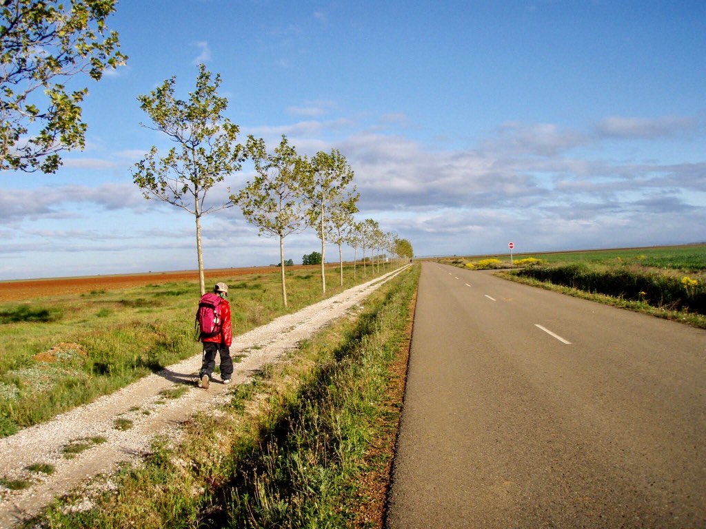 515カミーノ　マンリー　出発1 まっすぐ右　青空　サンティアゴ巡礼　