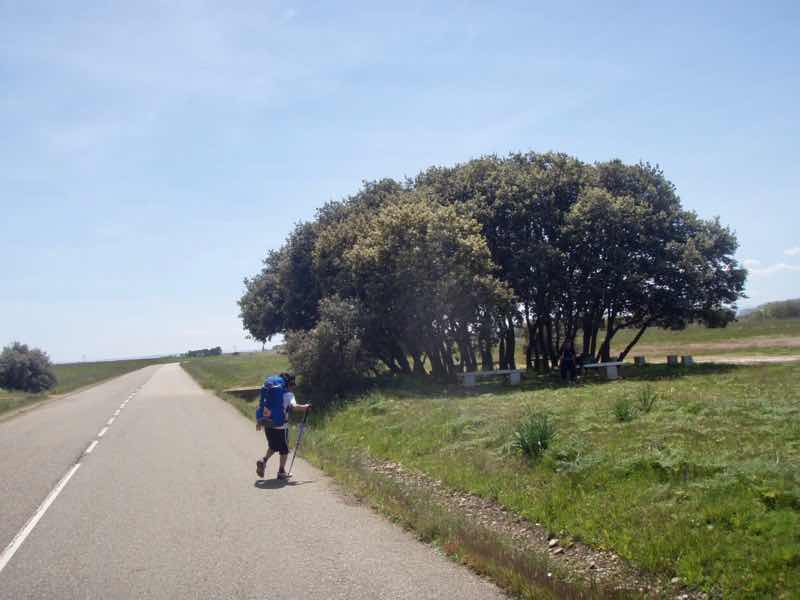 518カミーノ　マザリフェ　舗装路２後ろ姿　右に木　寄る