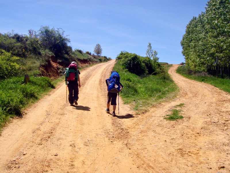 518カミーノ　マザリフェ田舎路1２後ろ姿　二また