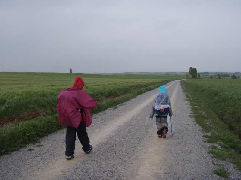 513 サアグーン 雨中、田舎道　1.2 サンティアゴ巡礼　