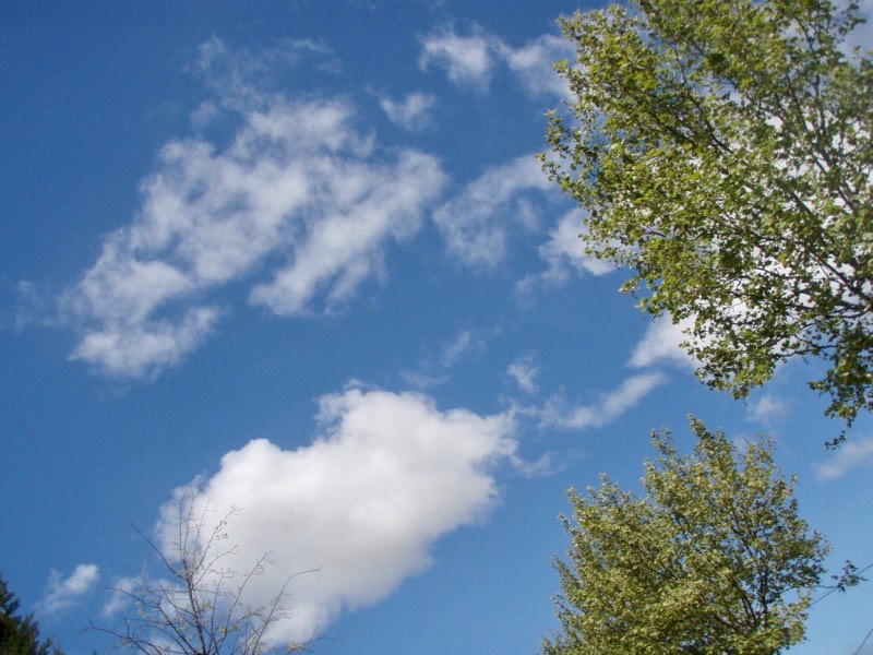 515カミーノ　マンリー　青空雲　サンティアゴ巡礼　