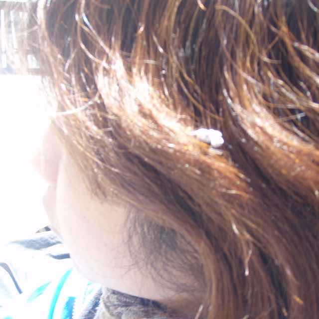 517カミーノ　leon レオン　大聖堂　鳩フン