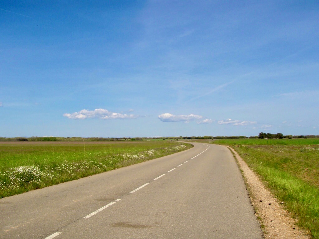 518カミーノ　マザリフェ　舗装路景色