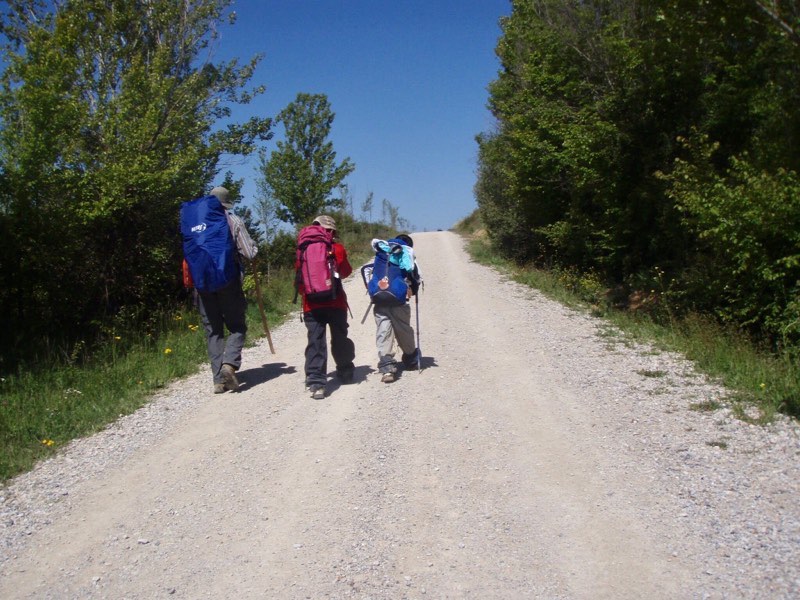 516 カミーノ サンティアゴ巡礼 レオン べいさん12.田舎道 右寄り