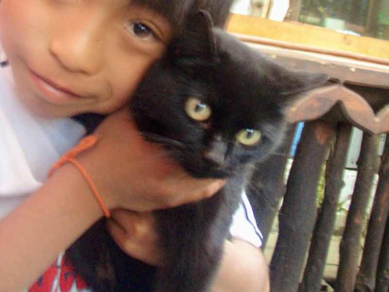 522 カミーノ マンヘリン 黒ネコ サンティアゴ巡礼