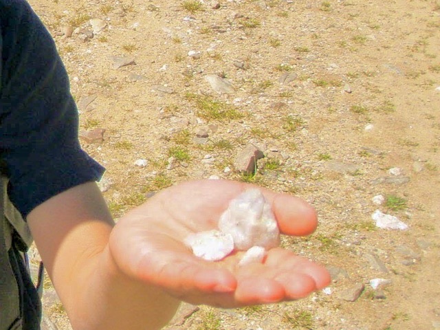 519 カミーノ　オルビゴ　白い石