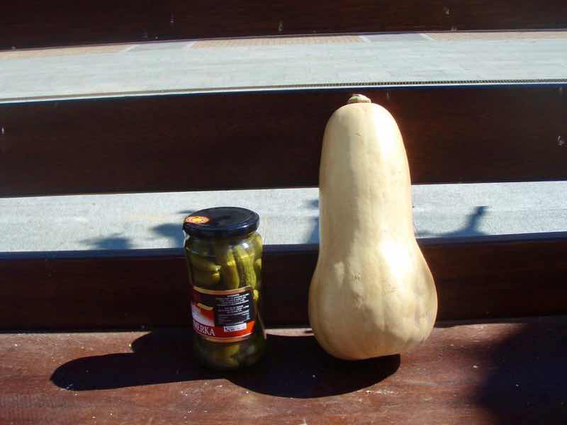 519 カミーノ　オルビゴ　ピクルス　ひょうたんかぼちゃ