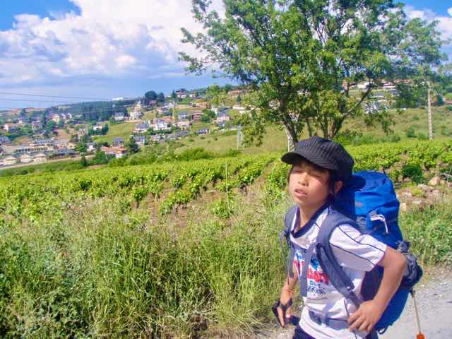 523ポンフェラーダPonferrada　カミーノ　2まいった顔