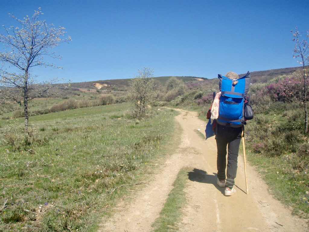 522カミーノ マンヘリン 3 後ろ姿