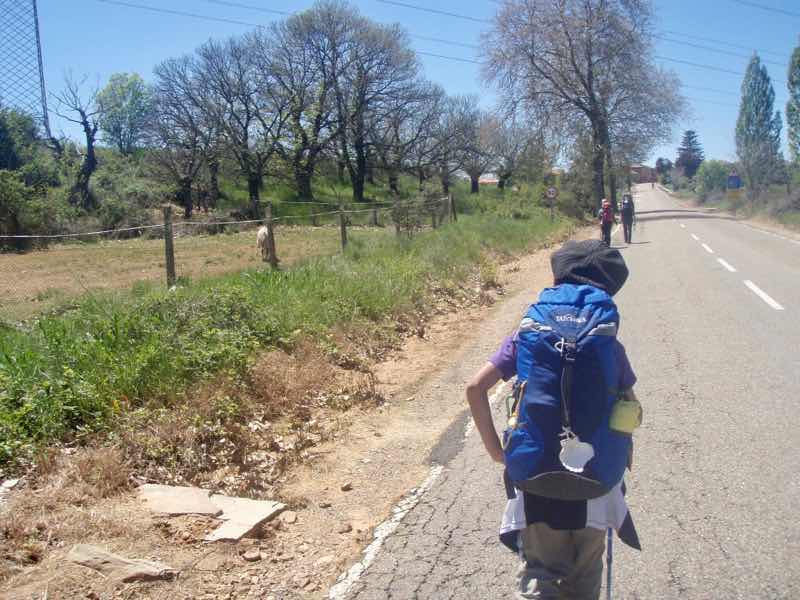 521 カミーノ　サンタ・カタリナ・デ・スモザ 　田舎道左手林