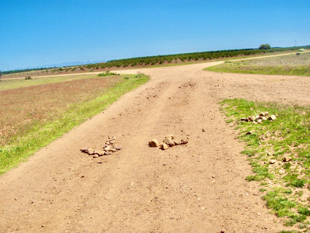 520 カミーノ アストルガ 道 石の矢印