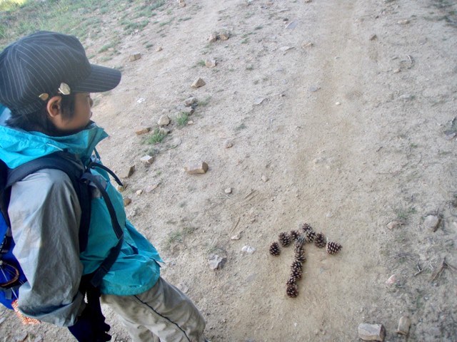 522カミーノ スモサ アルベルゲ 矢印 サンティアゴ巡礼