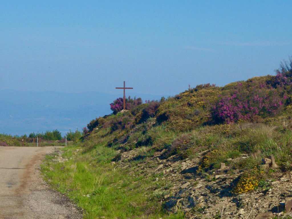 523ポンフェラーダPonferrada　カミーノ　山道景色　花ピンク