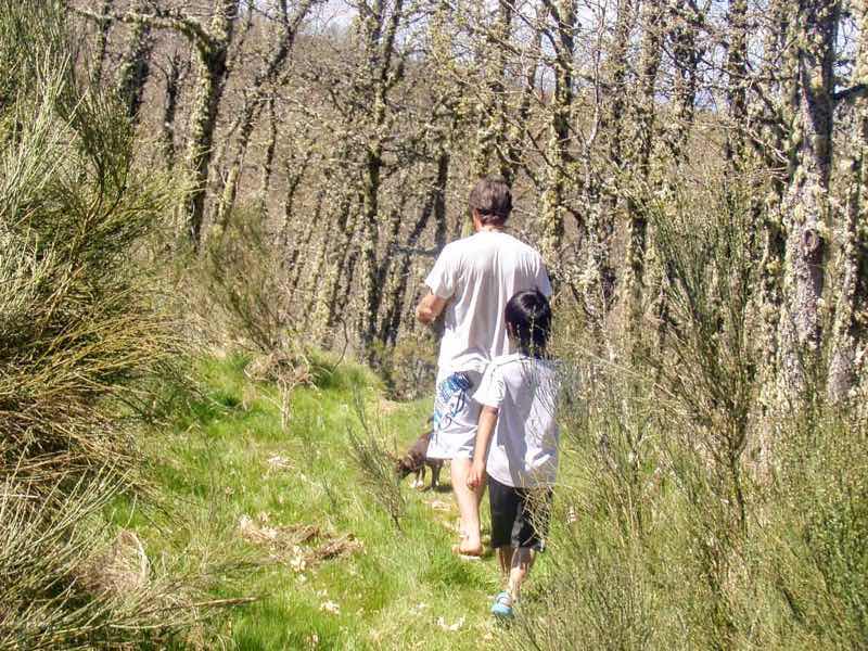 522 カミーノ マンヘリン ルイス2 シャワーへ案内