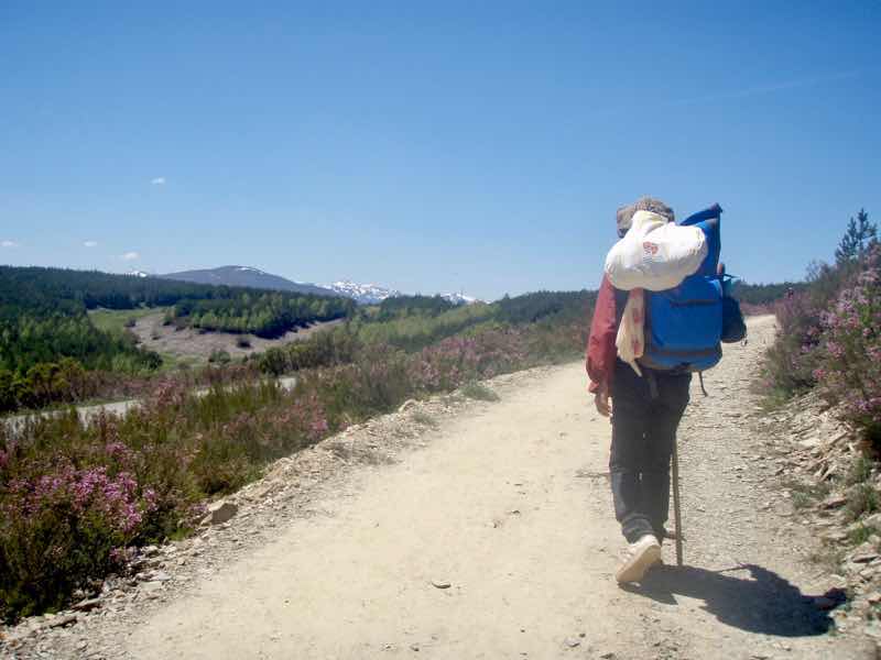 522カミーノ マンヘリン 3山 後ろ姿 サンティアゴ巡礼