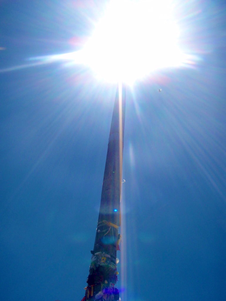 522 カミーノ マンヘリン クロスデフェロー 光