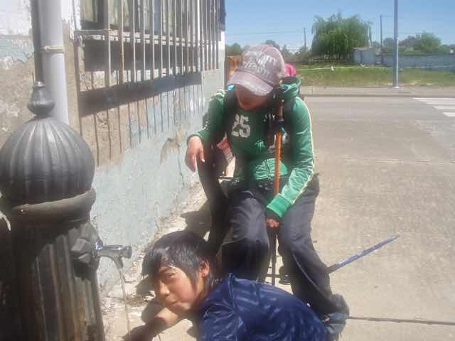 519 カミーノ　オルビゴ　頭洗う2 1