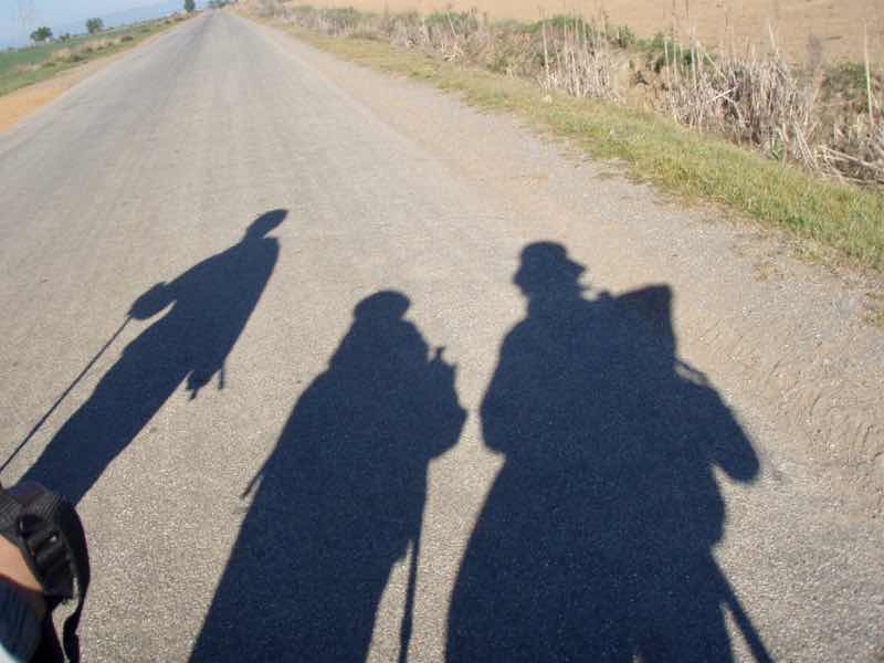 519 カミーノ　マザリフェ　影