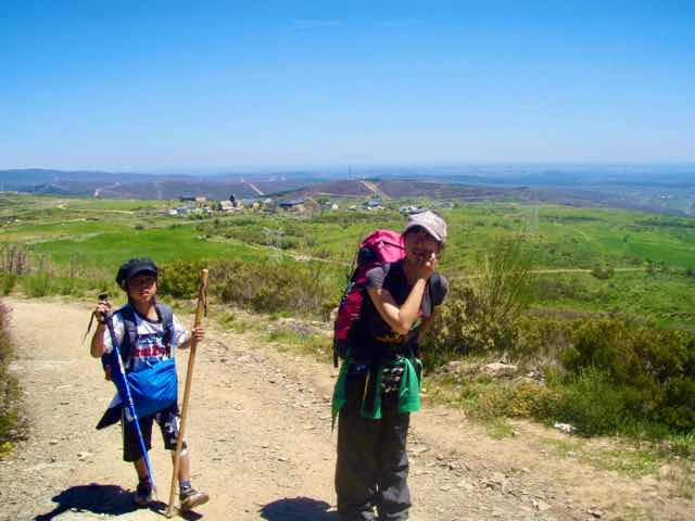 522カミーノ マンヘリン 山12杖2本サンティアゴ巡礼