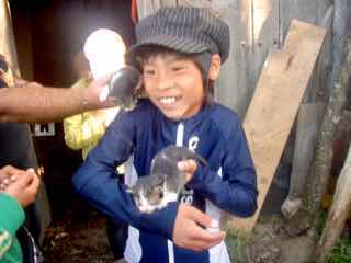 523マンハリン　カミーノ　子猫２手の上