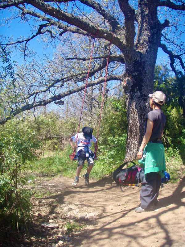 522カミーノ マンヘリン 12山道 ブランコ