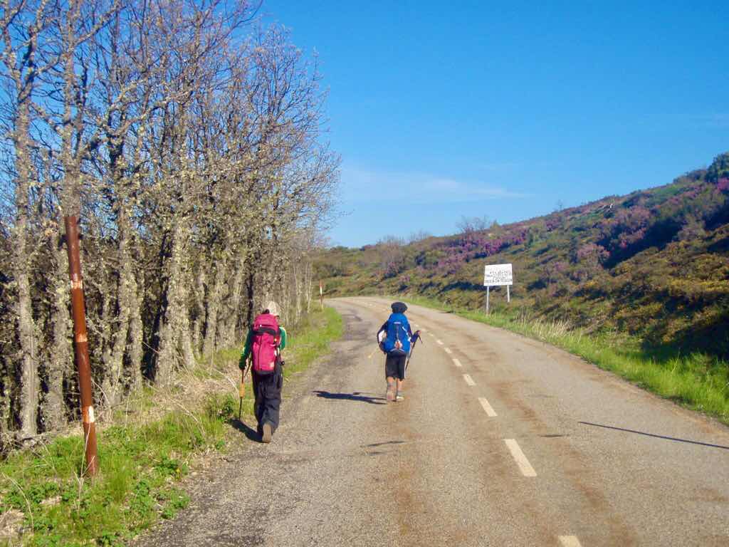 523ポンフェラーダPonferrada　カミーノ　林山道12後ろ