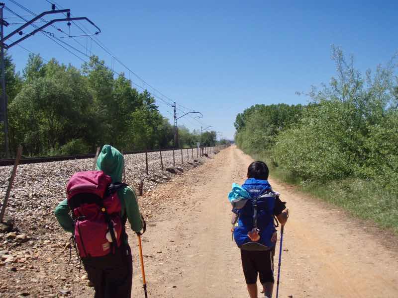 519 カミーノ　オルビゴ　線路沿い　12暑い