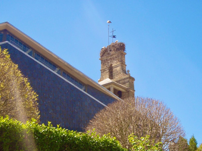 520 カミーノ アストルガ コウノトリ