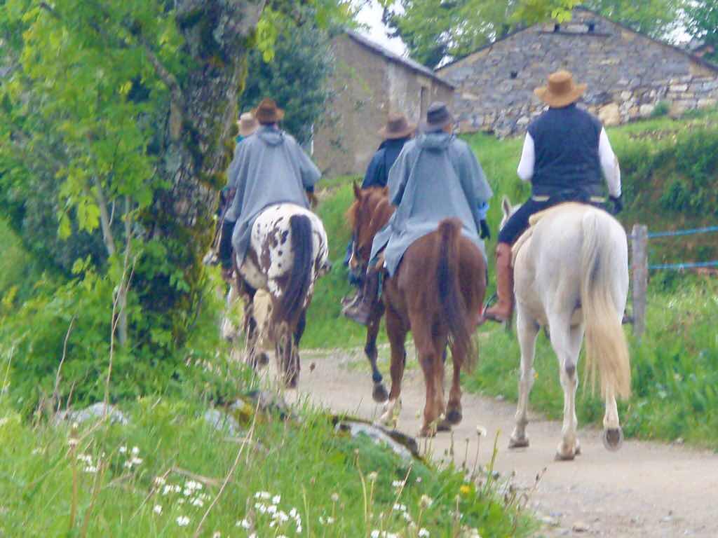 527 カミーノ　オスピタルデコンデサ　馬巡礼後ろ姿