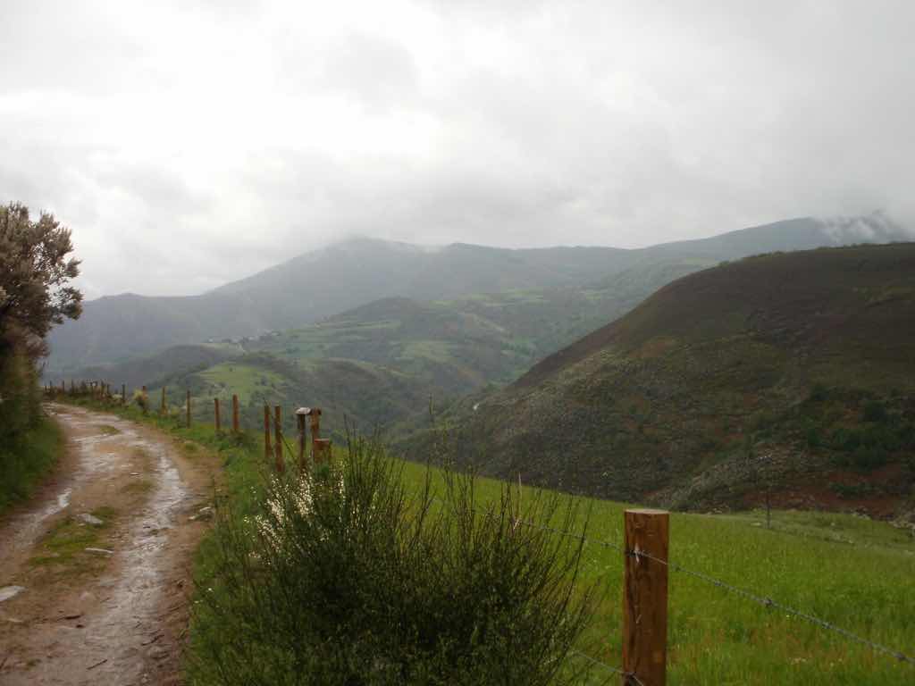 526 カミーノ　山道　一本道　ルイテラン　景色