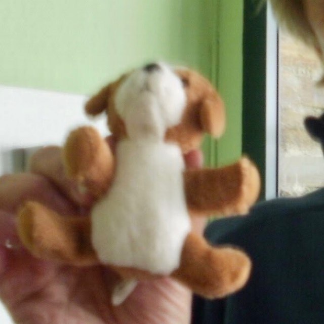 カミーノ　犬ぬいぐるみ