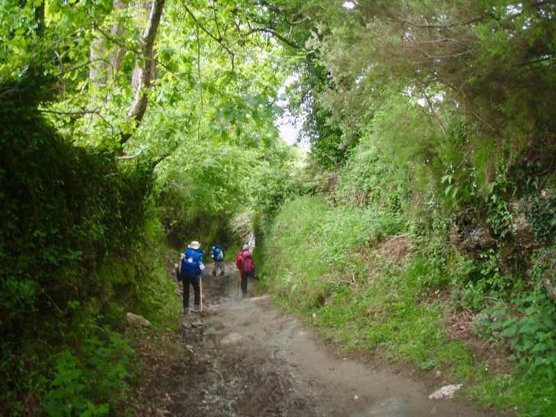 530 スペイン巡礼 サモス 123後ろ姿 両側土壁の道 暗め