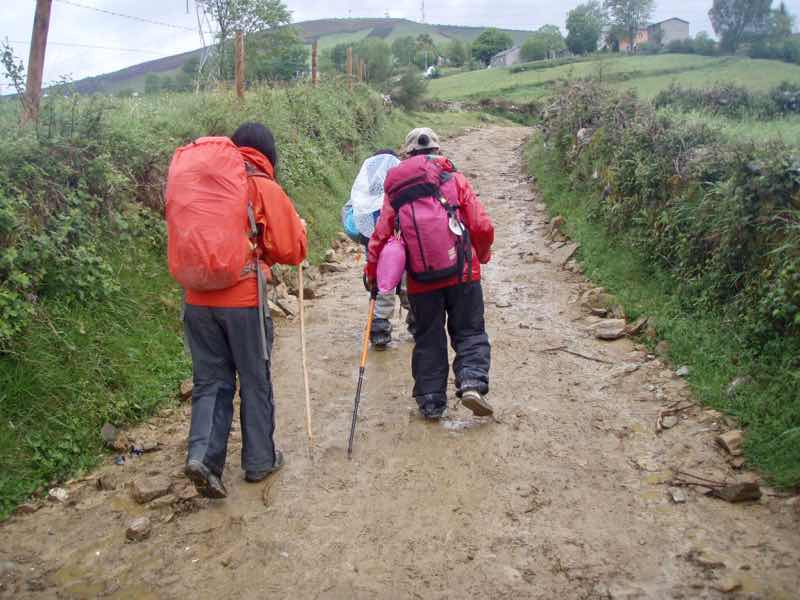 526 カミーノ　泥山道　セブレイロ　12E