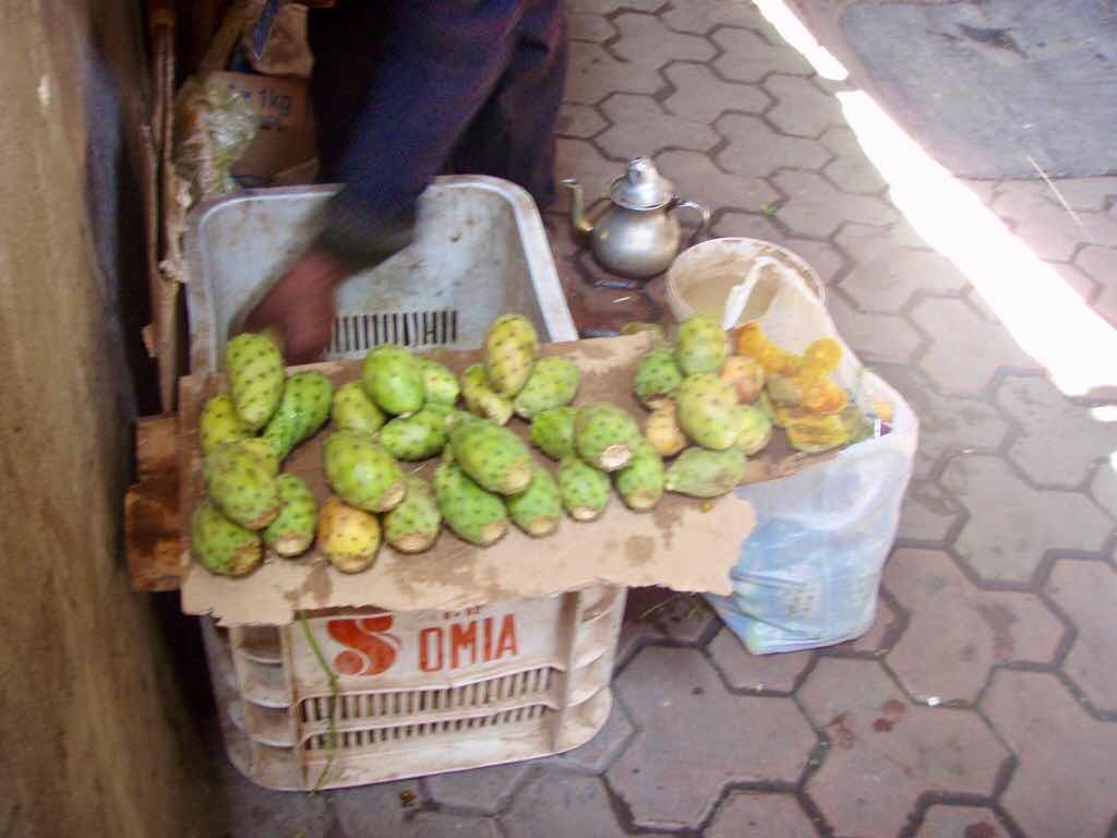 モロッコ　食用サボテン屋台