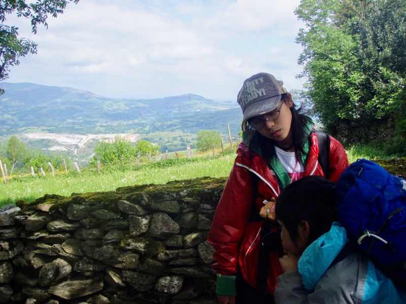 528 カミーノ　トリカステーリャ　石垣　1 2を見る