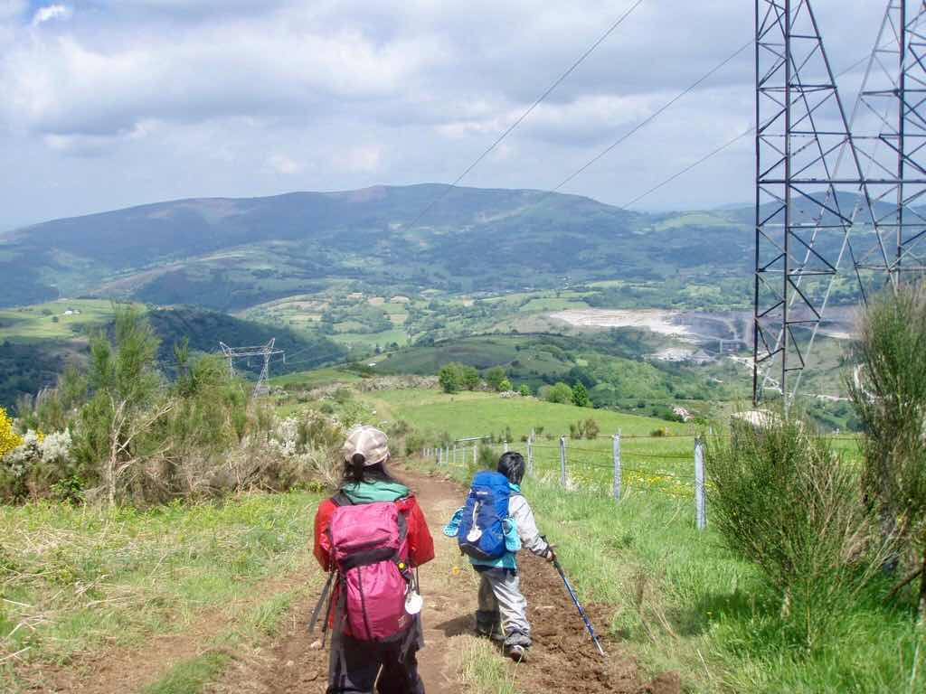 528 カミーノ　トリカステーリャ　田舎道　12 鉄塔