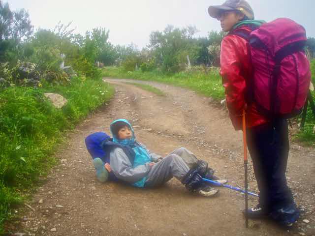 528 カミーノ　トリカステーリャ　2腹痛