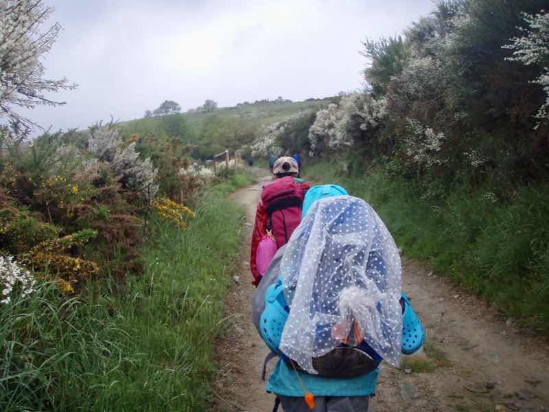 526 カミーノ　山道　一本道　ルイテラン　12 曇り後ろ姿